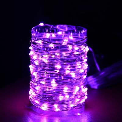 China String light indoor outdoor colorful smart light for holiday party, long string light with function, birthday celebrate color changing RGB lig for sale