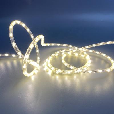 China Christmas decoration copper project use each bulb 24V cuttable led rope light 100 meters for sale