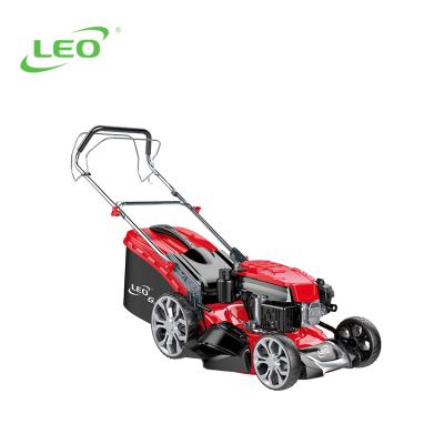 China 4-Stroke LION LM46Z-2L High Quality Portable Mini Gasoline Lawn Mower for sale