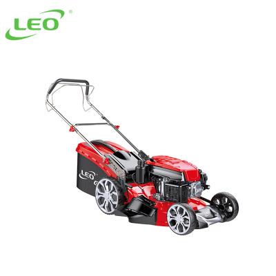 China 4-Stroke LION LM48Z-2 L-P China Mini Suppliers Best Price Cordless Gasoline Grass Cutter Lawn Mower Self Propelled Tractor for sale