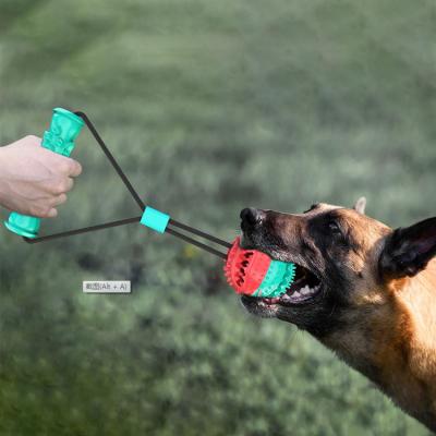 China Sustainable Custom Classes Durable Non-Toxic Plastic Shape Dog Toy Chew Custom Pet Chew Toys for sale