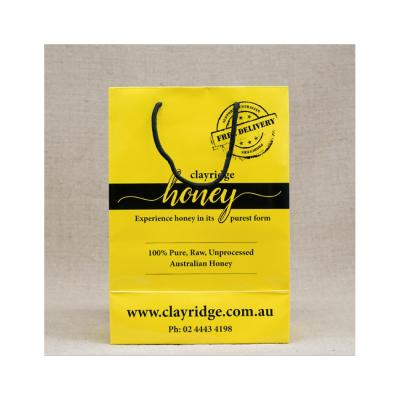 China High Quality Recyclable.eco-friendly Ivory Board Shopping Paper Bag with Logo Print for sale