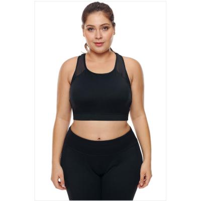 China Best Sports Breathable American Style Sports Bra Tights Fitness Oversized Tops For Big Breasts From Real Factory for sale