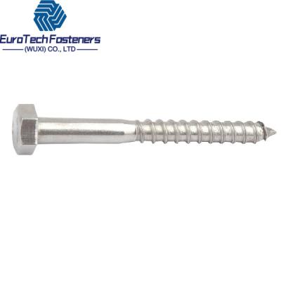 China Din 571 Hexagon Head Wood Screws Bolt A2 A4 M8 M10 M12 M16 M20 8x100 8x120 8x60 8x80 for sale