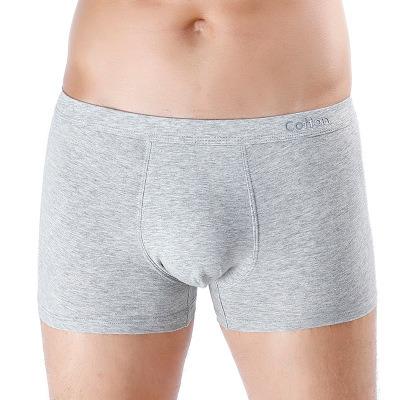 China Best Quality Antibacterial Boxer Shorts Briefs Underwear Cotton Mid Waist Solid Color Plus Size Underwear Panties For Men for sale