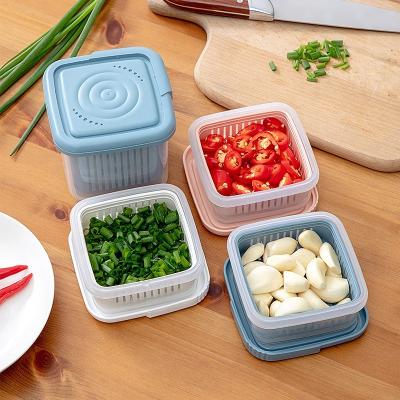 China Sustainable Vegetable Fruit Fresh Produce Strainer Drain Basket Crisper Plastic Containers For Food With Grid for sale