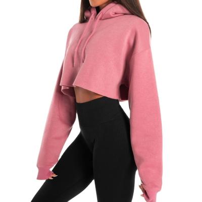 China Antibacterial Soft Light Crop Cotton Drop Style Fashion Top Hoodie For Women for sale