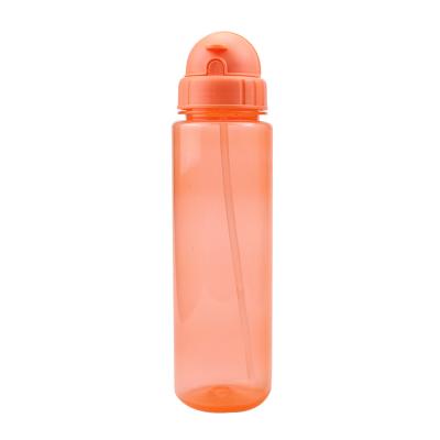 China 600ml Viable Cheap BPA Free Food Grade Straw Cup With Straw For Adults And Kids Can Sporting And Hiking for sale