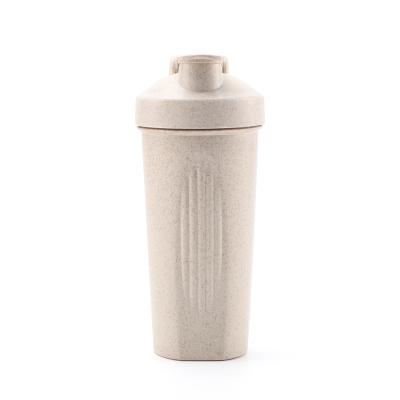 China 2022 600ml 800ml Custom Logo Viable Hot Selling Drink Shaker Sports Protein Bottle Portable Shaker for sale