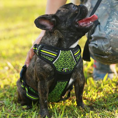 China Lovoyager Pet Viable Harness Single Front Chain Dog Collar Easy Walk Thoughtful No Pull Dog Harness for sale