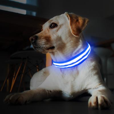 China Safe Lighting LED Dog Collar Night Viable Large Cool Dog Collar for sale