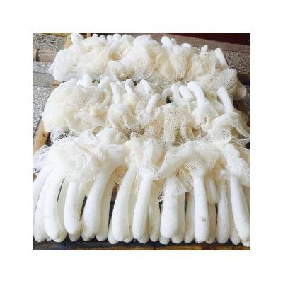 China Dictyophora JELLY Fine White Root Quality Products Agriculture Large Tube Dictyophora for sale