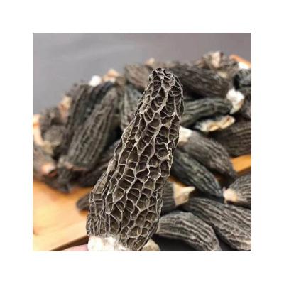 China Dried Morchella Per 5-6cm Dried Mushroom Morchella Various Grades To Choose From for sale