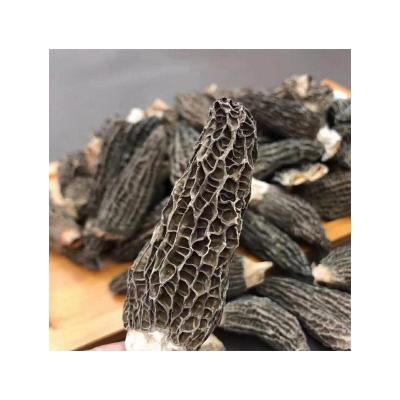 China Dry High End At A Good Price 1 No Feet Black Dry Morchella 5-6cm Morchella for sale