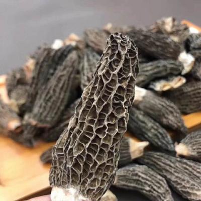 China Dried Bulk Organic Dried Nightshade Mushrooms For Sales for sale