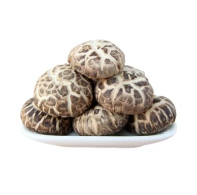 China 3-4cm Dried Mushroom Class B Black Mushroom Agriculture Products China for sale