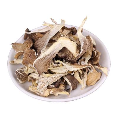 China Dry Natural Temperature Storage Portobello Mushroom Shen Zhen Agricultural Products for sale