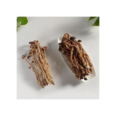 China Wholesale Price High Quality Dried Tea Tree Mushroom Without Aperture for sale