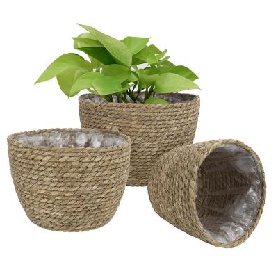 China Vegetable Plankton Plant Basket Woven Plant Basket Viable Natural Pot Cover With Plastic Liner for sale