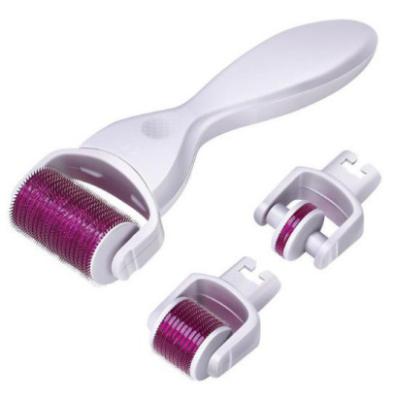 China Anti-hair removal YYR facial care variable head derma roller titanium 3 in 1 for sale