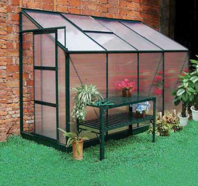 China Easily Assembled 4x8ft Galvanized Steel Garden Greenhouse for sale