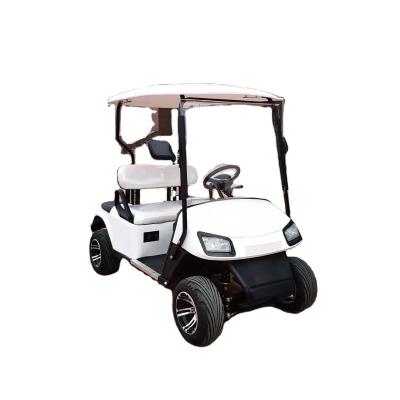 China ShunCha NEW 60V 3KW 2 Seats Car Electric Club Golf Cart From Factory 2023 In Sale 400kg AC Motor for sale