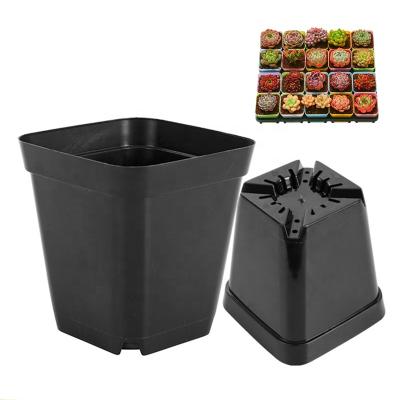 China Small Plant Reusable Plastic Tray Succulent Square Nursery Pots Different Color Flower Pots for sale