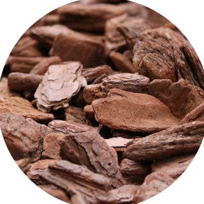 China Pine Bark Wooden Nugget Chip Mulch Supplement Mulch Pine Bark Minimalist Wooden Ornamental Garden Ornament for sale