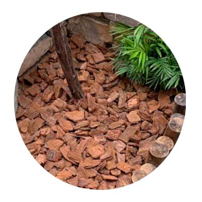 China Pine bark rindenmulch wood chip mulch pine wood bark pinheiro mulch casca traditional pine bark supplement for sale