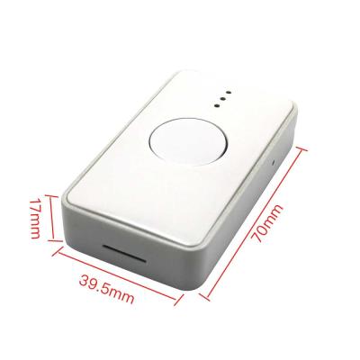 China High Quality Electric Mini 4G Collar Puppy Pet GPS Tracker Custom Logo Locator Device Cat Big Dog Shock Pet GPS Training for sale