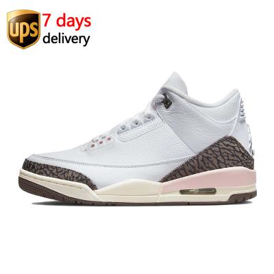 China EVA Mocha Jumpman 3 Mens Basketball Shoes Jordan 3s Neapolitan Dark Court JTH Purple Katrina Orange Cool Trainer CK9246-102 for sale