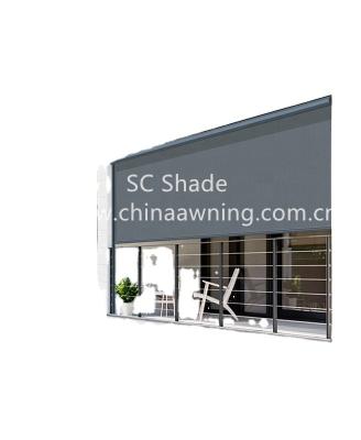 China ROMAN Outdoor Windproof Ziptrack Motorized Motorized Window Roller Shade for sale