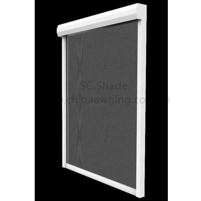 China ROMAN Electric Blackout or Blackout Motorized Zip Track Motorized Roller Blinds for sale