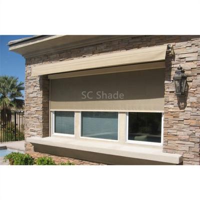 China ROMAN Custom ziptrack electric blind screen zipper retractable blinds for sale