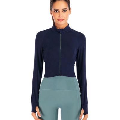 China Breathable Slim Long Sleeve Women Shaping Fitness Top Sport Yoga Wear for sale