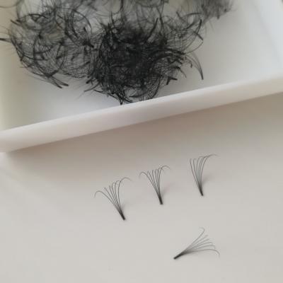 China Premade Light Volume Whips Fans 2d 3d 4d 5d 6d 7d 8d Lashes for sale