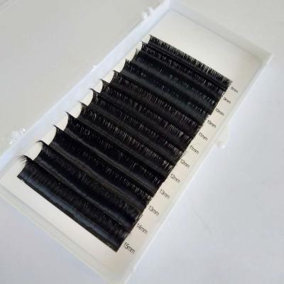 China Natural Blooming Easy Long Fan Lashes Extensions Hot Sale False Lashes Silk Eyelashes for sale