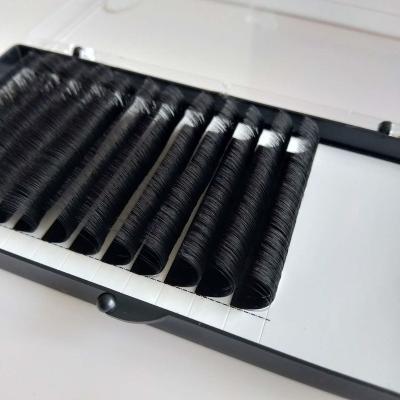 China Natural High Quality Long Blooming Lashes 0.03 0.05 0.07 Easy Fast Fanning Mega Volume Eyelash Extensions for sale