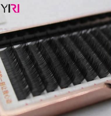 China Delicate PBT FIBER FIBER Mink Eyelash Material Korean Silk Cashmere Flat Eyelash Extensions for sale