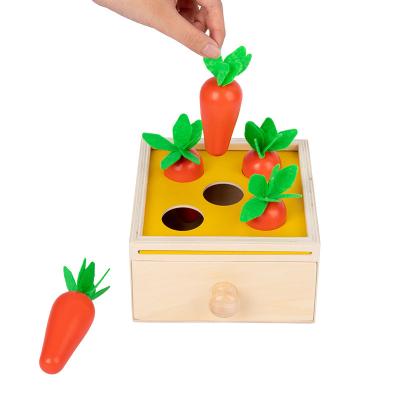 China New Design Educational Montessori Kids Toy Wooden Coin Box Ball Box Radish Pull Toys. for sale