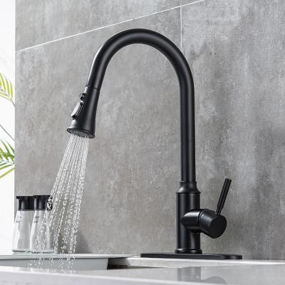 China Thermostatic Faucets Pull Out Kitchen Sink Mixer Tap Kitchen Faucet Mixer Tap Hot And Cold Water Pull Out Kitchen Faucet for sale