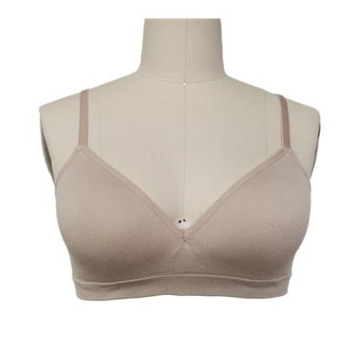 China Back Closure Adjustable Straps V-Neck Triangle Cup Warm Seamless Soft Bra Top Pads Wear Wireless Seamless Bra for sale