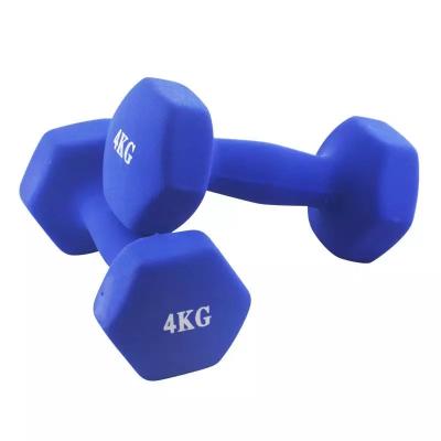 China Fashion. Sports Iron Colorful Dumbbell Fitness Exercise Hex Lightweight Dumbbell For Women Home Fitness for sale