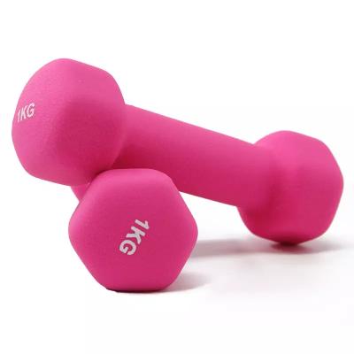 China Fashion. Wholesale Colorful Sports Hex Dip Dumbbells For Bodybuilding Women Fitness for sale