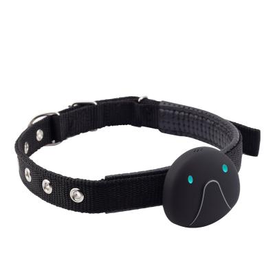 China Personalized IP67 Pet GPS Tracker Waterproof Dog Collar GPS BDS AGPS Wifi Books Tracking for Android and IOS for sale