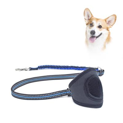 China Sustainable Thoughtful Bungee Dog Training Running Hand Lead Free Dog Walking Leash With Top Control for sale