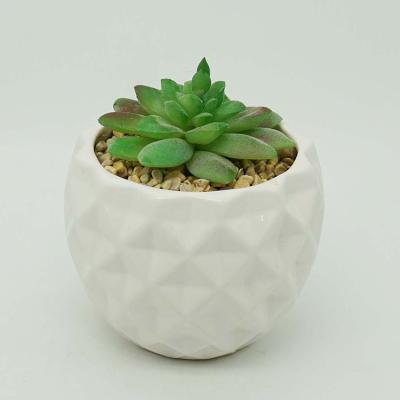 China Country Plant Decoration Mini Succulent Pots Ceramic Artificial Plastic Pots for sale