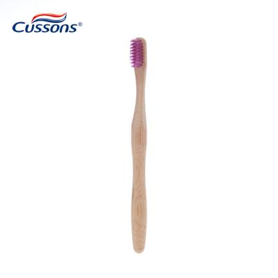 China 100% Natural Biodegradable Eco-Friendly Bristle Biodegradable Organic Charcoal Bamboo Toothbrush for sale