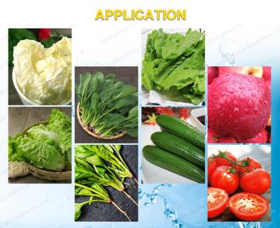 China Adjustable Speed ​​Potato Washing Machine Bubble Washing Machine Fruits Cleaning Machinery for sale