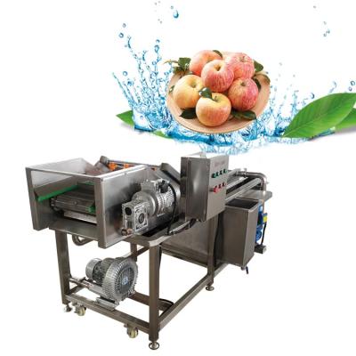 China High Quality Adjustable Fruit And Vegetable Washing Machine Bubble Cleaner Speed ​​Bubble Seal for sale